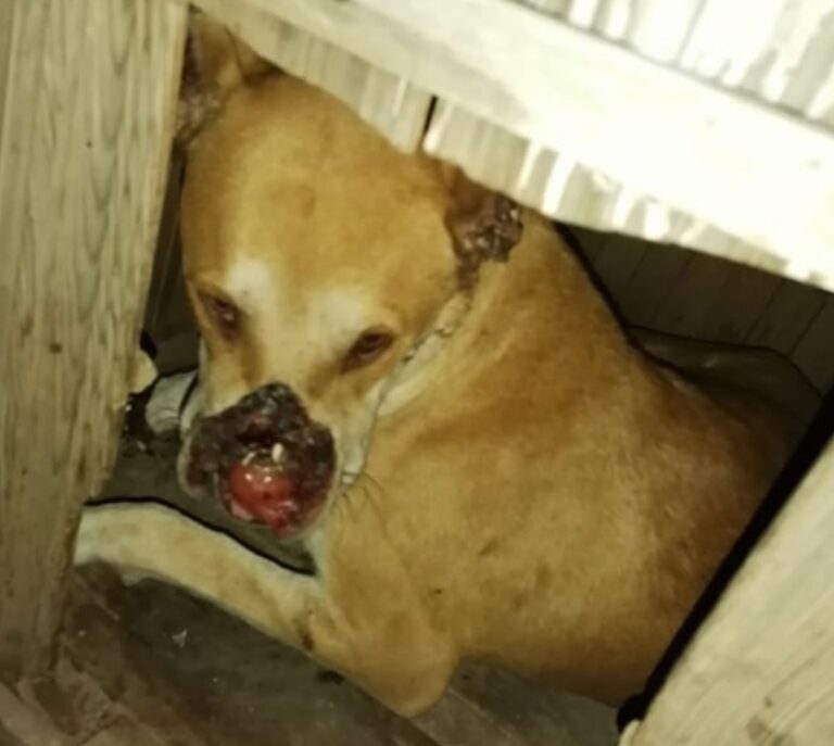 Screenshot_20231109_105006