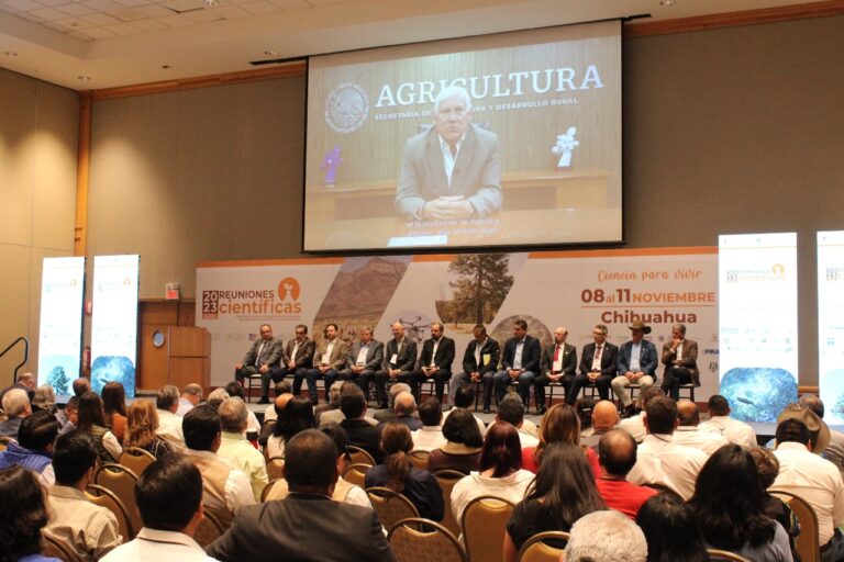 WhatsApp Image 2023-11-09 at 10.15.13 AM