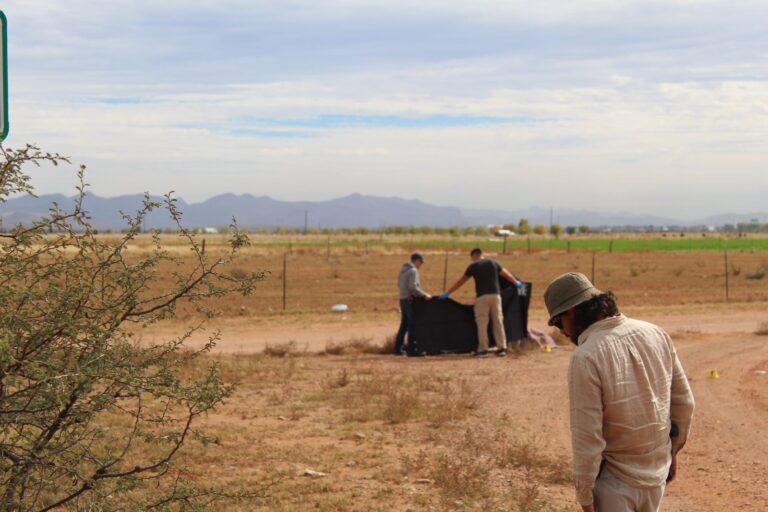 WhatsApp Image 2023-11-17 at 11.46.12