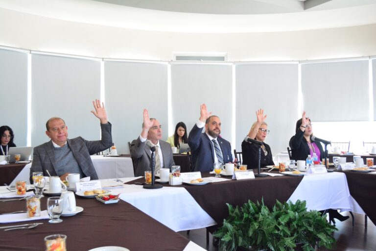 comisionados ichitaip