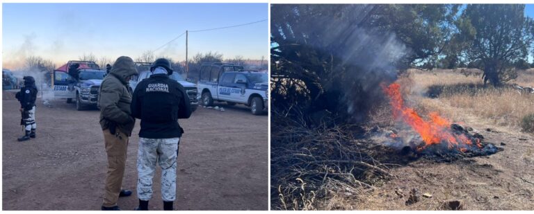 Polish_20231205_112242890