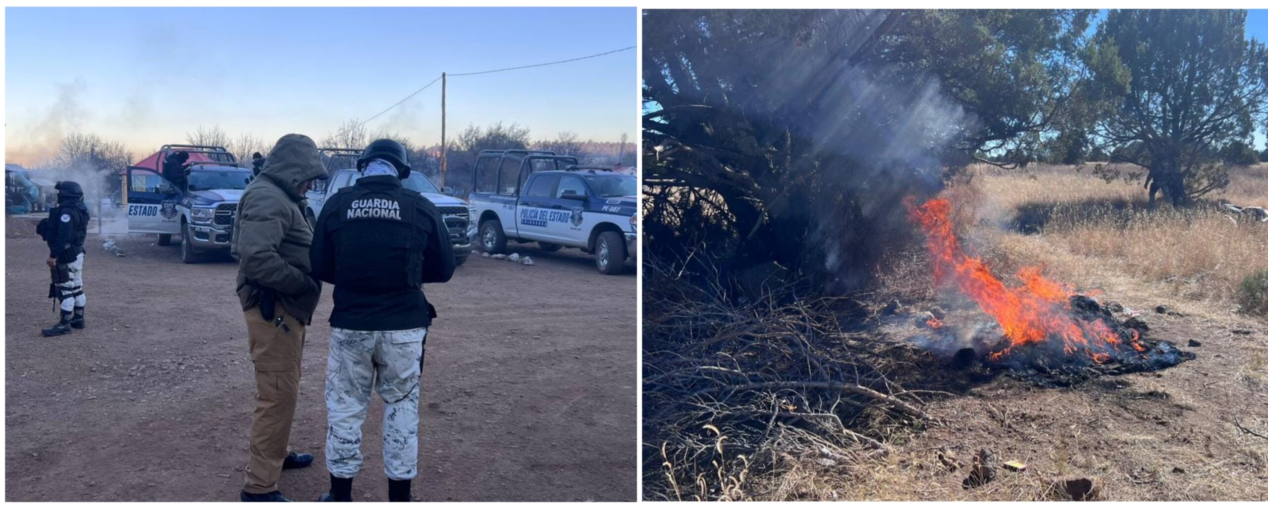 Polish_20231205_112242890