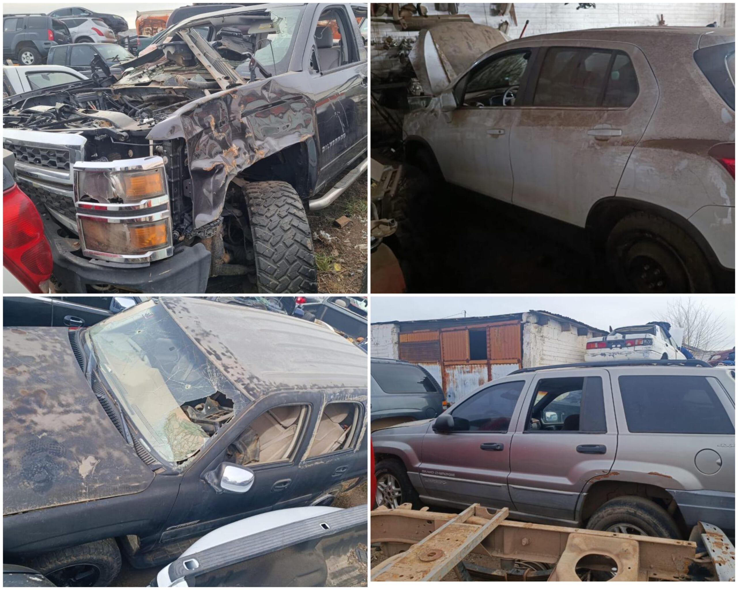 Polish_20231213_135357075