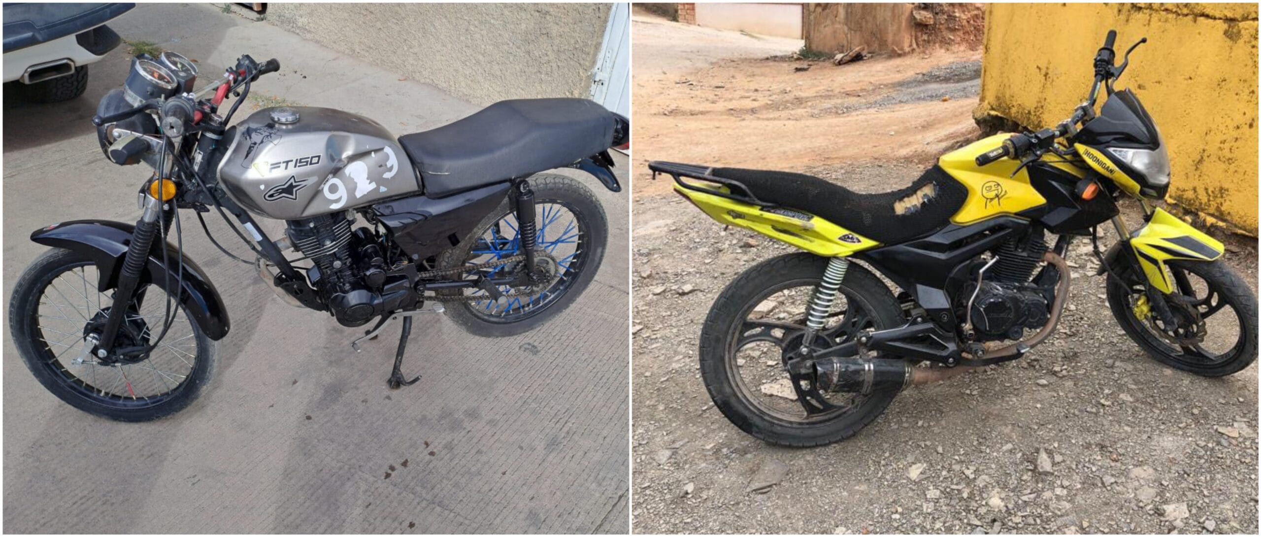 Polish_20231219_104905308