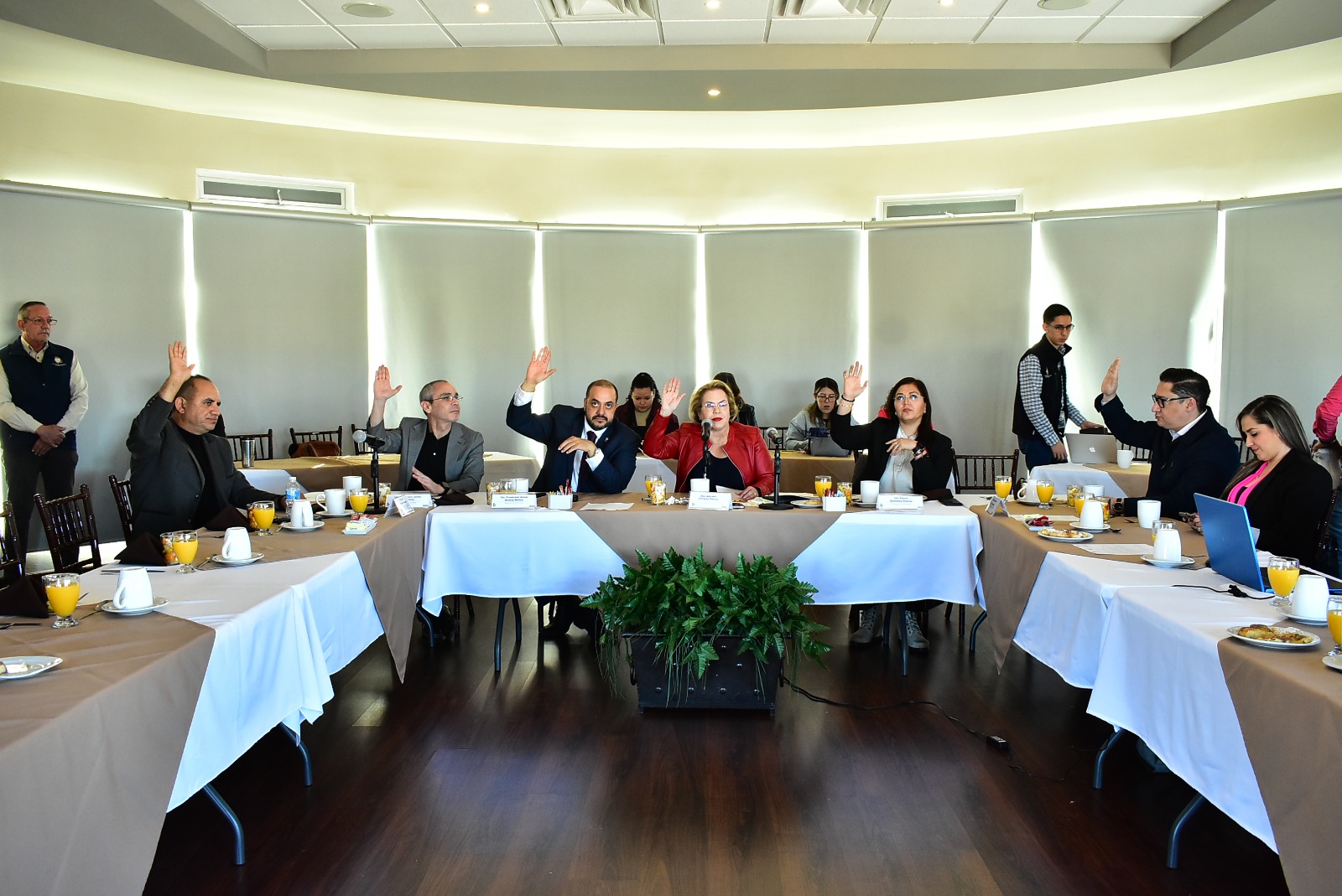 WhatsApp Image 2023-12-08 at 10.14.11