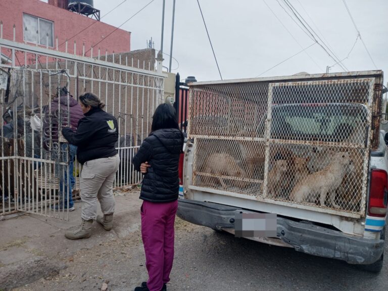 WhatsApp Image 2023-12-12 at 9.45.36 AM