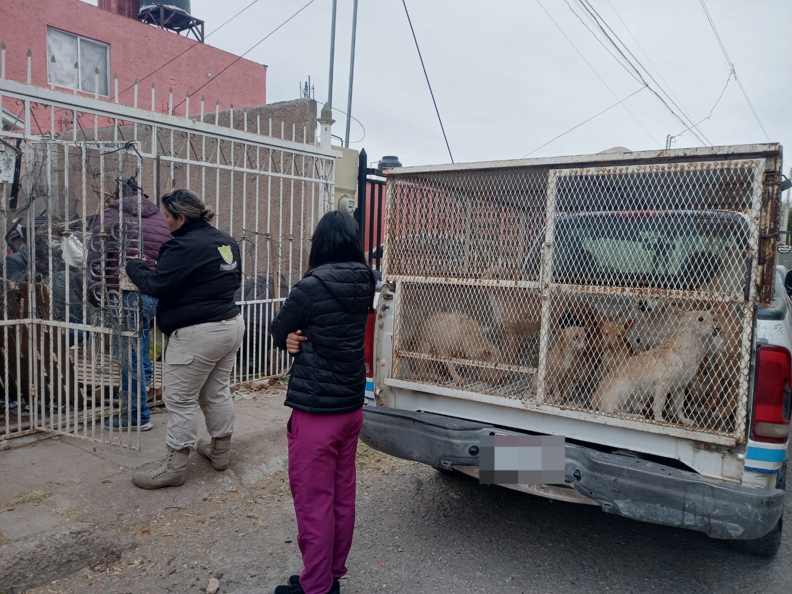 WhatsApp Image 2023-12-12 at 9.45.36 AM