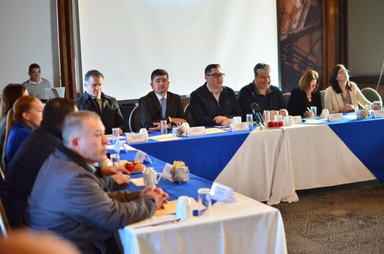 WhatsApp Image 2023-12-19 at 08.09.11