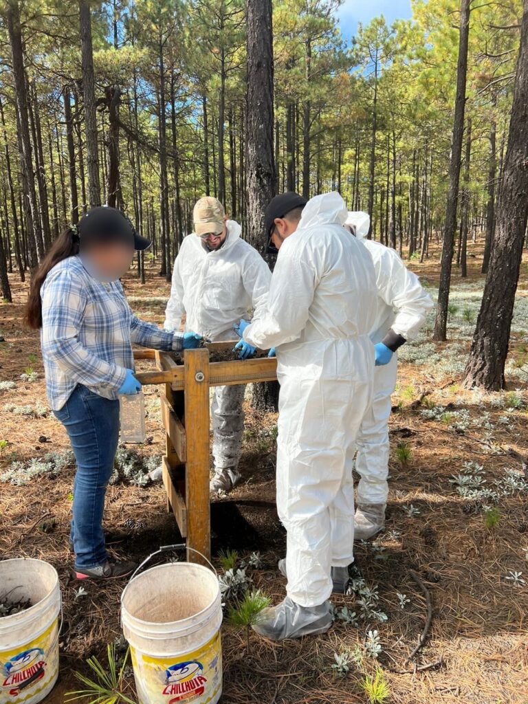 WhatsApp Image 2023-12-27 at 12.19.34 PM