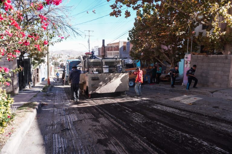 WhatsApp Image 2023-12-28 at 10.30.03 AM (1)