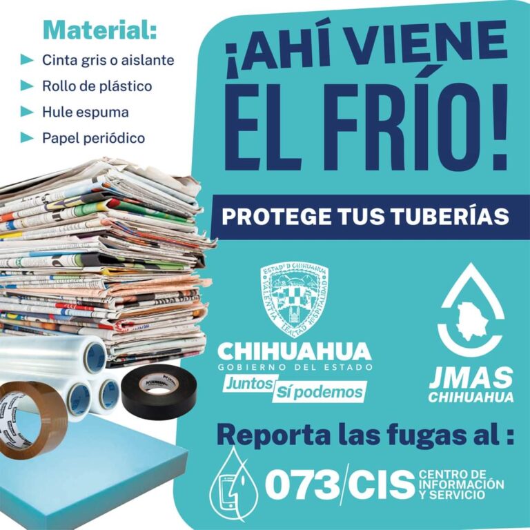 WhatsApp Image 2023-12-28 at 12.31.48 PM