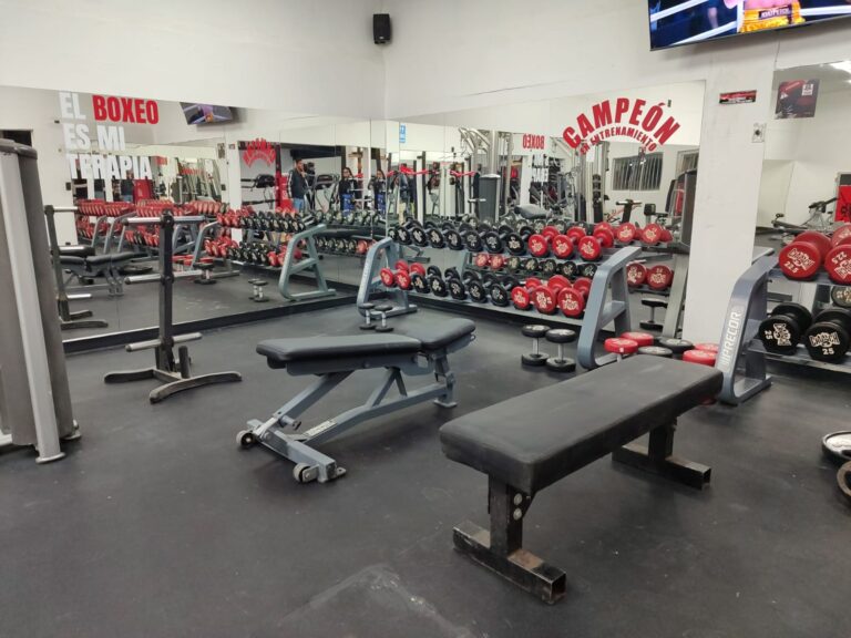 419274825_343086462022581_6571179751374158187_n