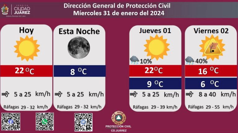 65ba7307049e5__65ba7307049e6