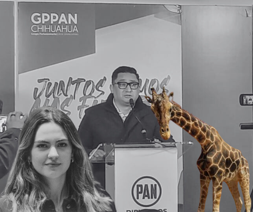 Diseño sin título (5)