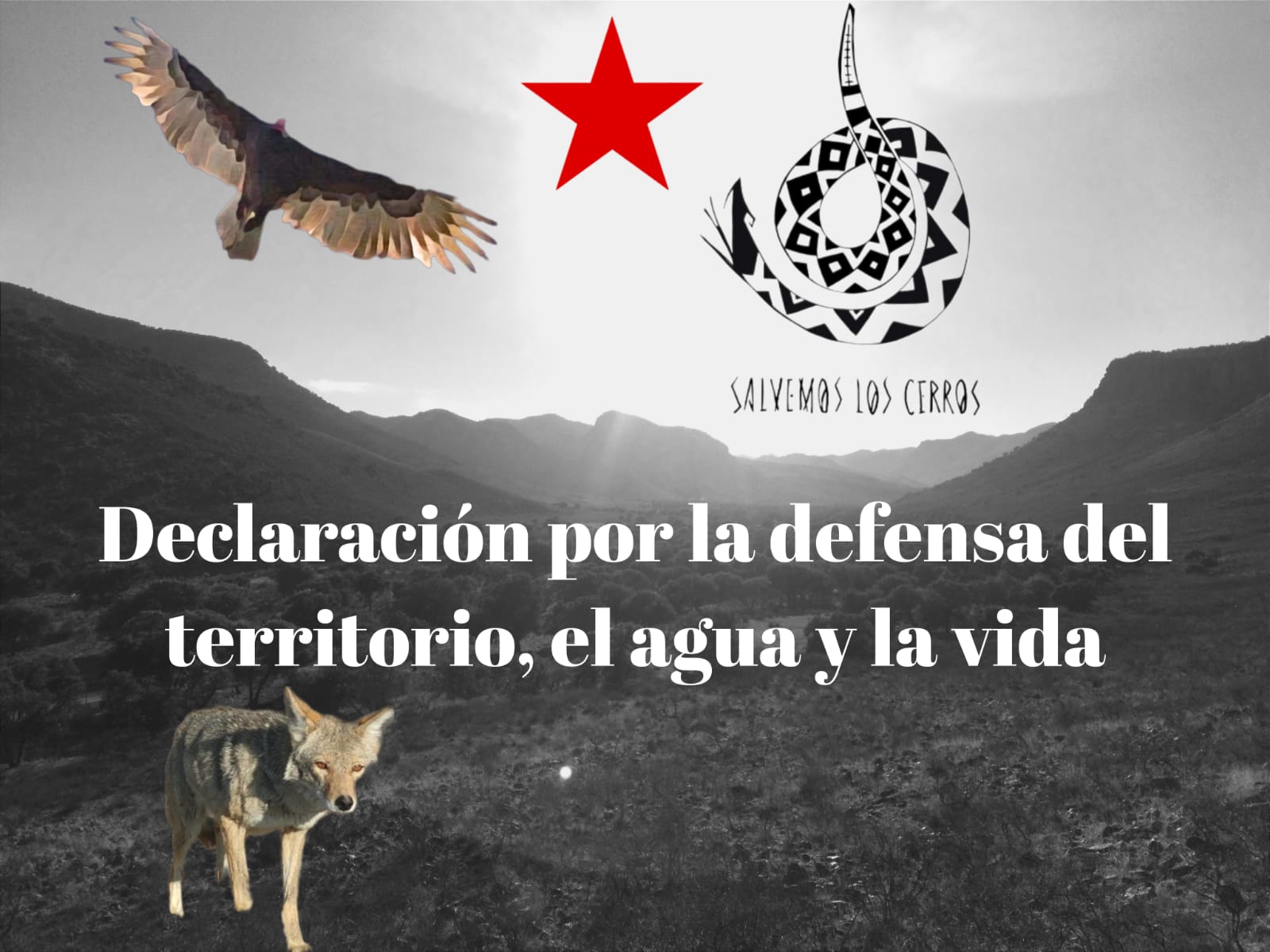 WhatsApp Image 2024-01-03 at 10.55.08 AM