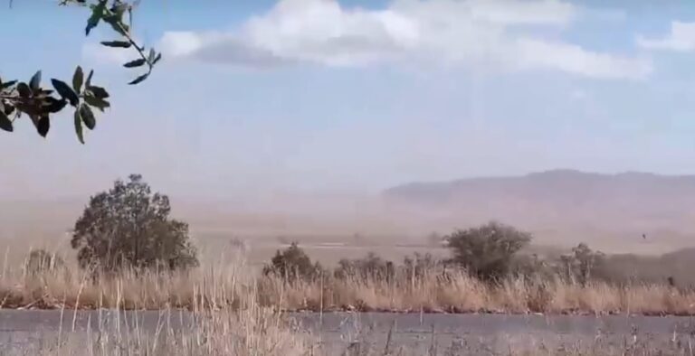 WhatsApp Image 2024-01-04 at 2.24.36 PM