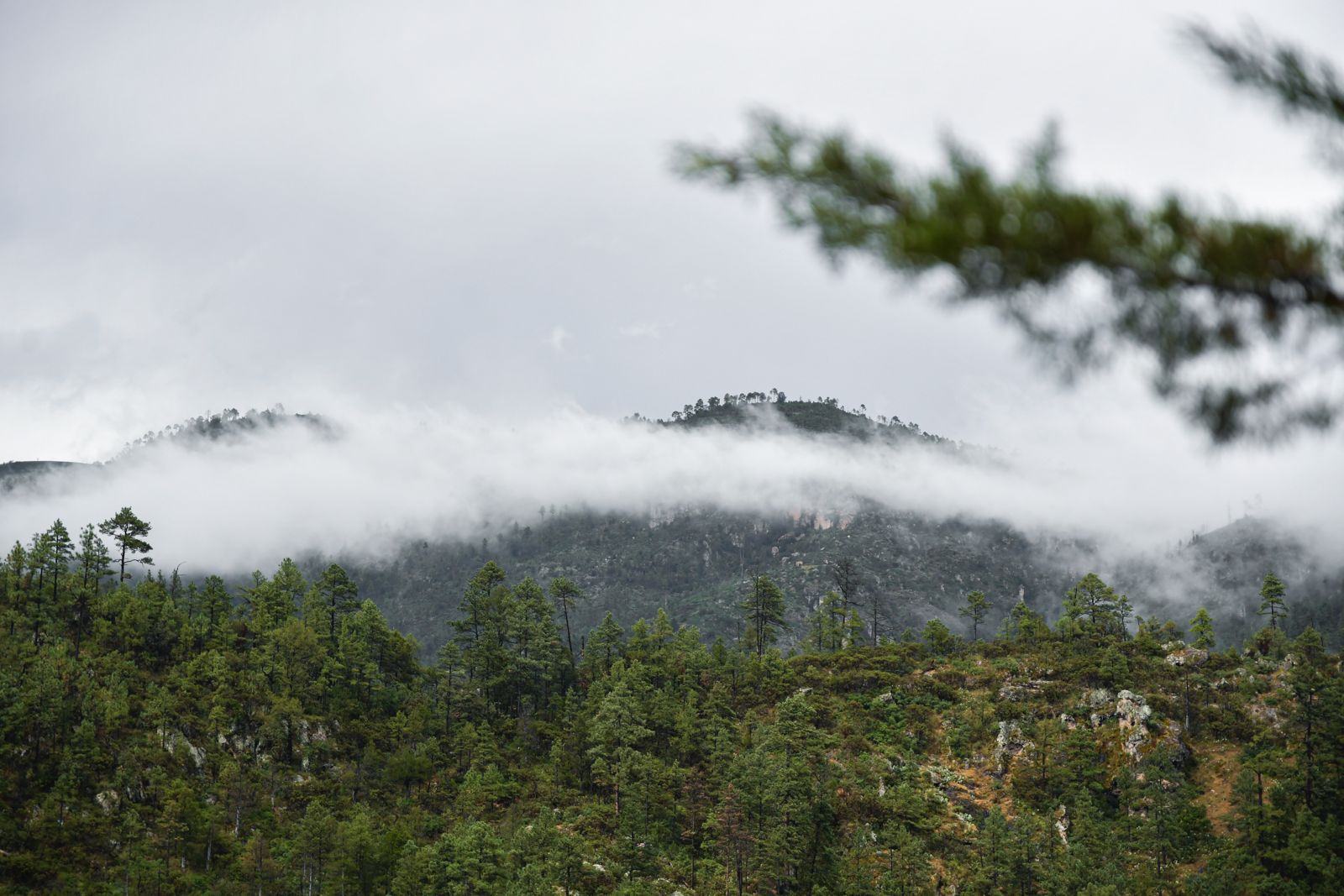 WhatsApp Image 2024-01-05 at 12.24.10 PM