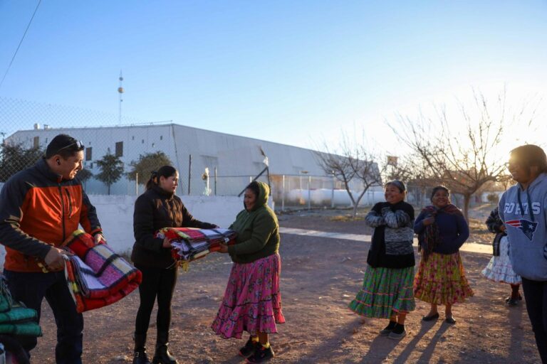 WhatsApp Image 2024-01-09 at 11.56.20 AM