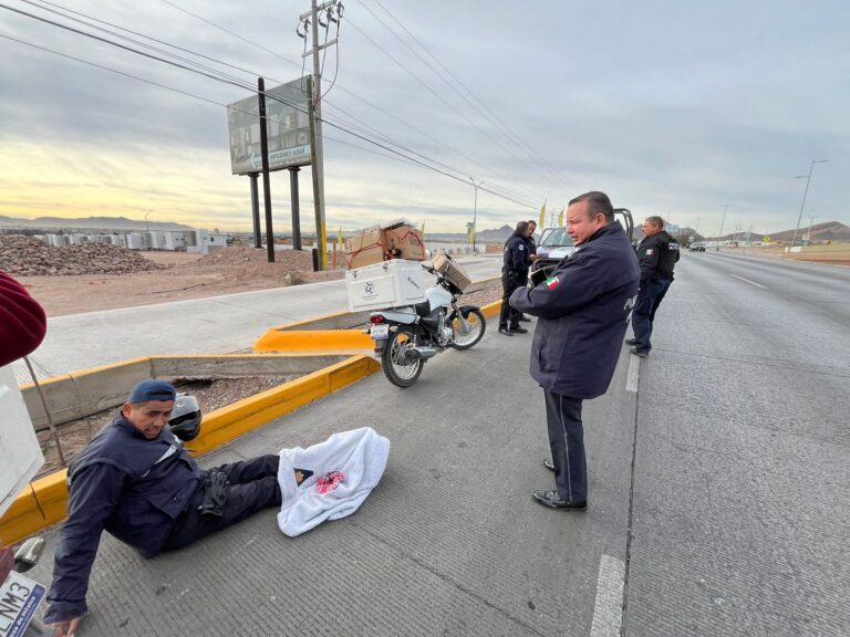 WhatsApp Image 2024-01-15 at 09.29.55