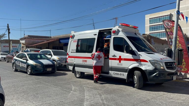 WhatsApp Image 2024-01-18 at 1.57.56 PM