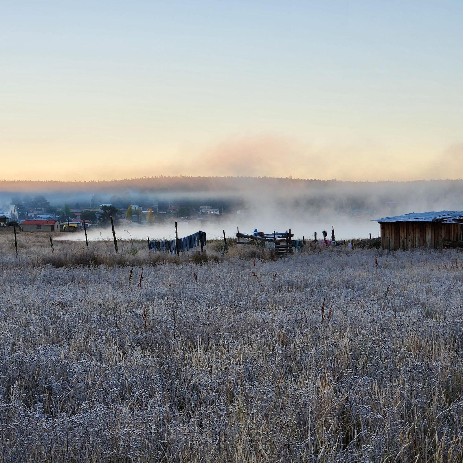 WhatsApp Image 2024-01-19 at 12.34.30 PM