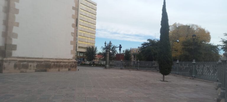 WhatsApp Image 2024-01-22 at 20.41.36