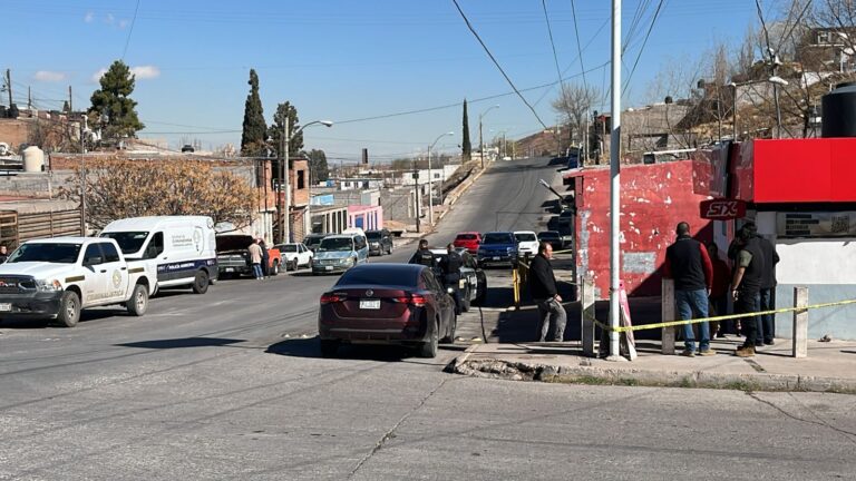 WhatsApp Image 2024-01-24 at 10.47.53 AM