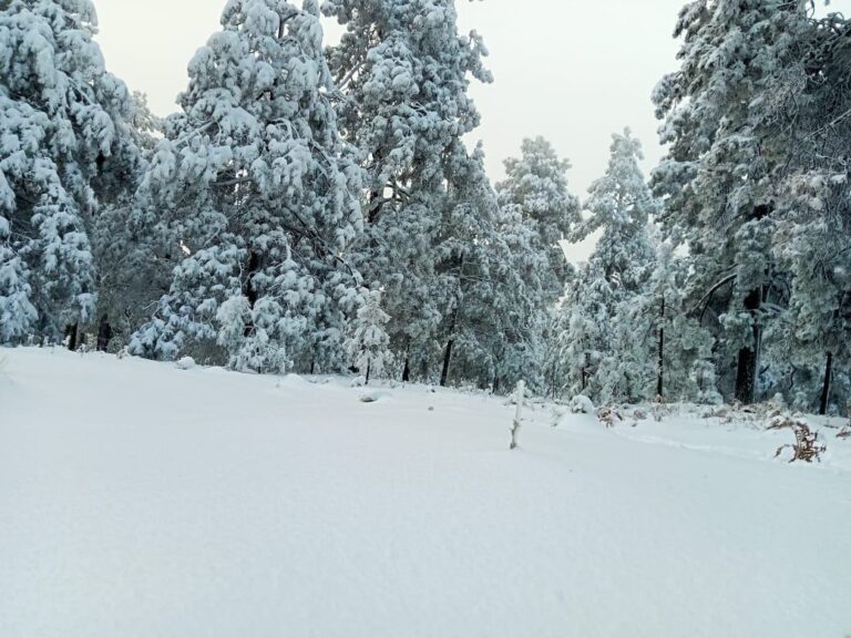 WhatsApp Image 2024-01-24 at 9.48.53 AM