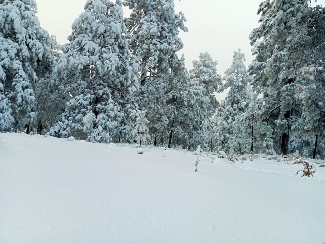 WhatsApp Image 2024-01-24 at 9.48.53 AM