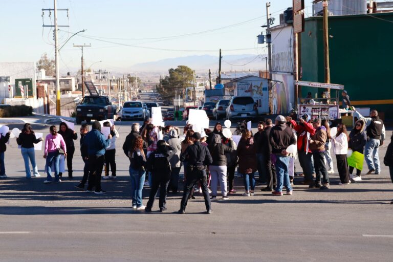 WhatsApp Image 2024-01-26 at 09.10.00