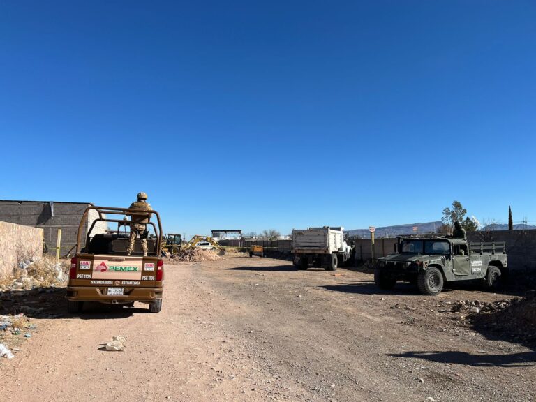 WhatsApp Image 2024-01-26 at 11.10.12 (1)