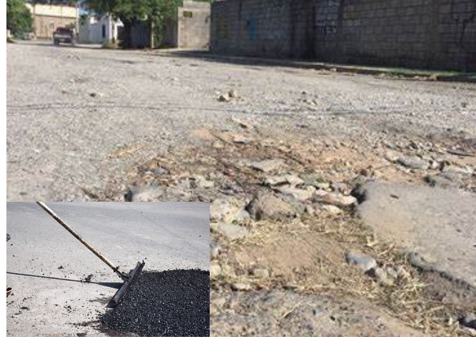 Diseño sin título (24)