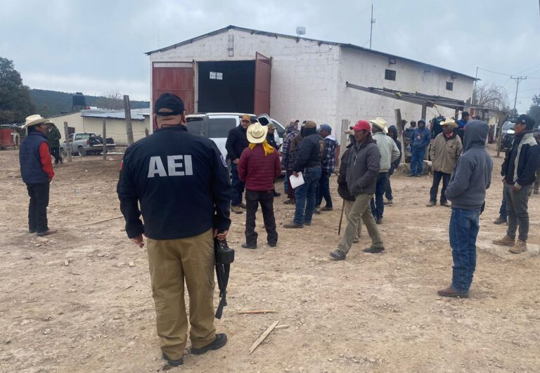 Polish_20240216_235620455