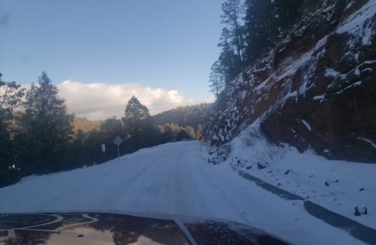 WhatsApp Image 2024-02-03 at 09.37.01