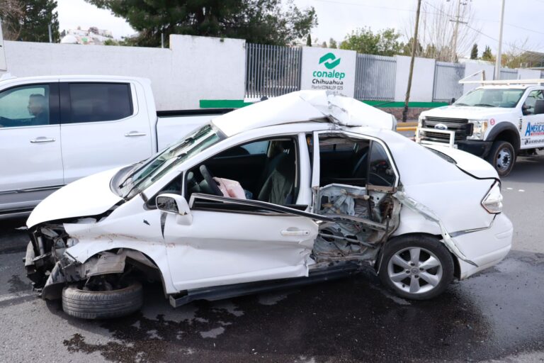 WhatsApp Image 2024-02-06 at 10.35.28