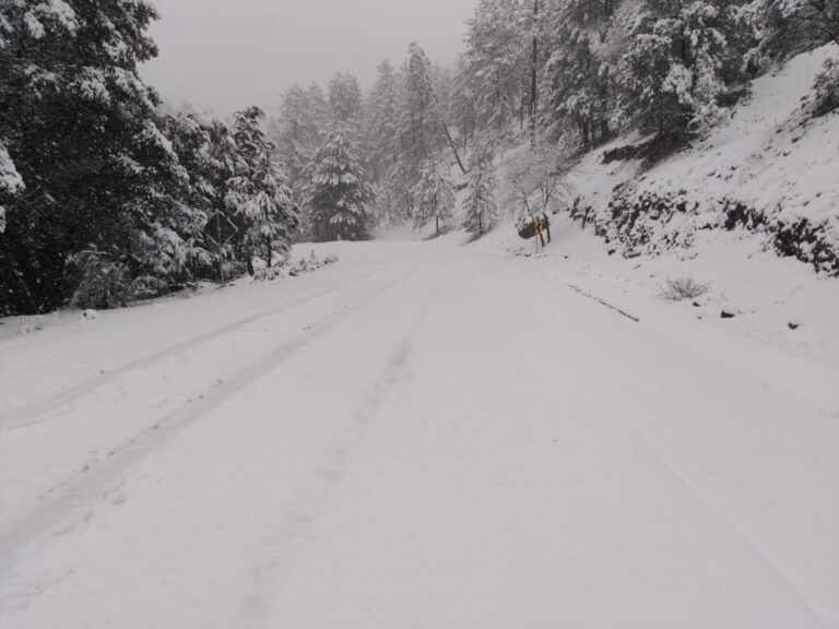 WhatsApp Image 2024-02-08 at 11.49.47