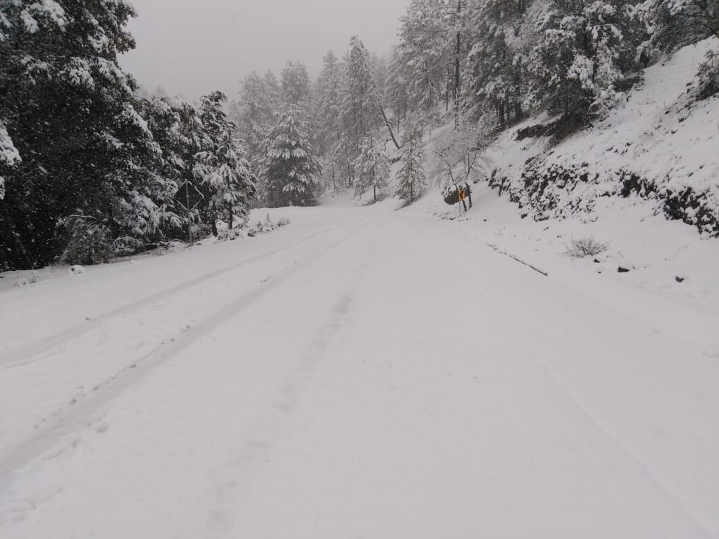 WhatsApp Image 2024-02-08 at 11.49.47