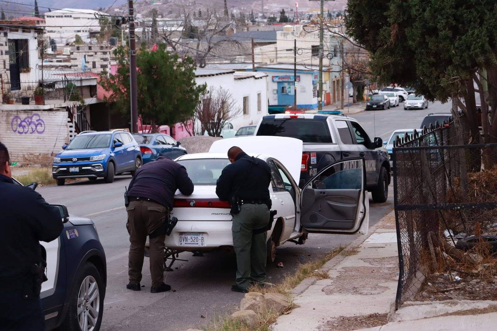 WhatsApp Image 2024-02-09 at 09.00.56