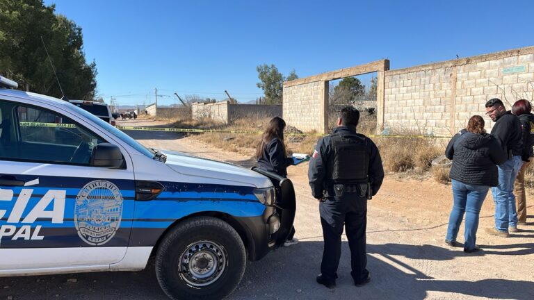 WhatsApp Image 2024-02-12 at 9.44.57 AM