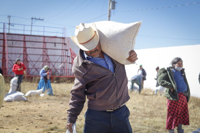 WhatsApp Image 2024-02-13 at 09.02.25