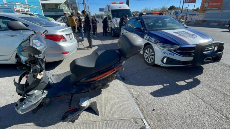 WhatsApp Image 2024-02-13 at 10.11.57