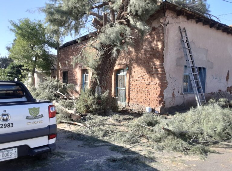 WhatsApp Image 2024-02-13 at 10.55.45