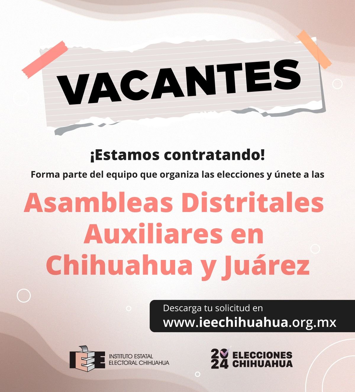 WhatsApp Image 2024-02-22 at 08.46.38