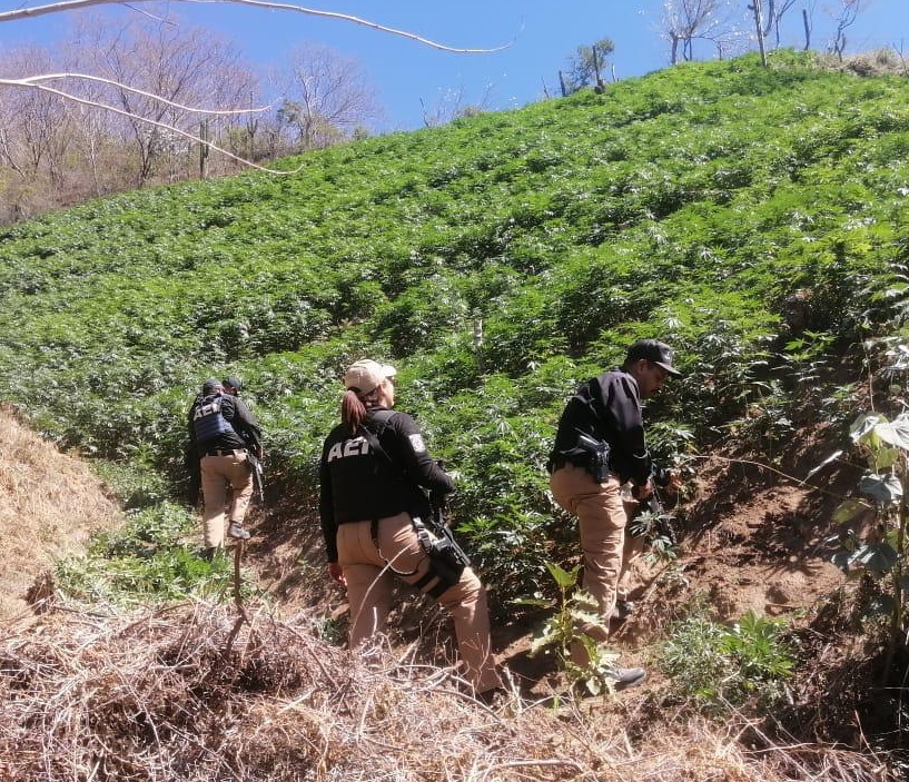 Polish_20240302_150630751