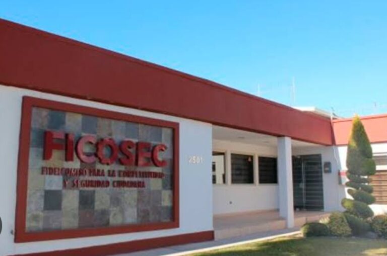 Polish_20240305_120943382