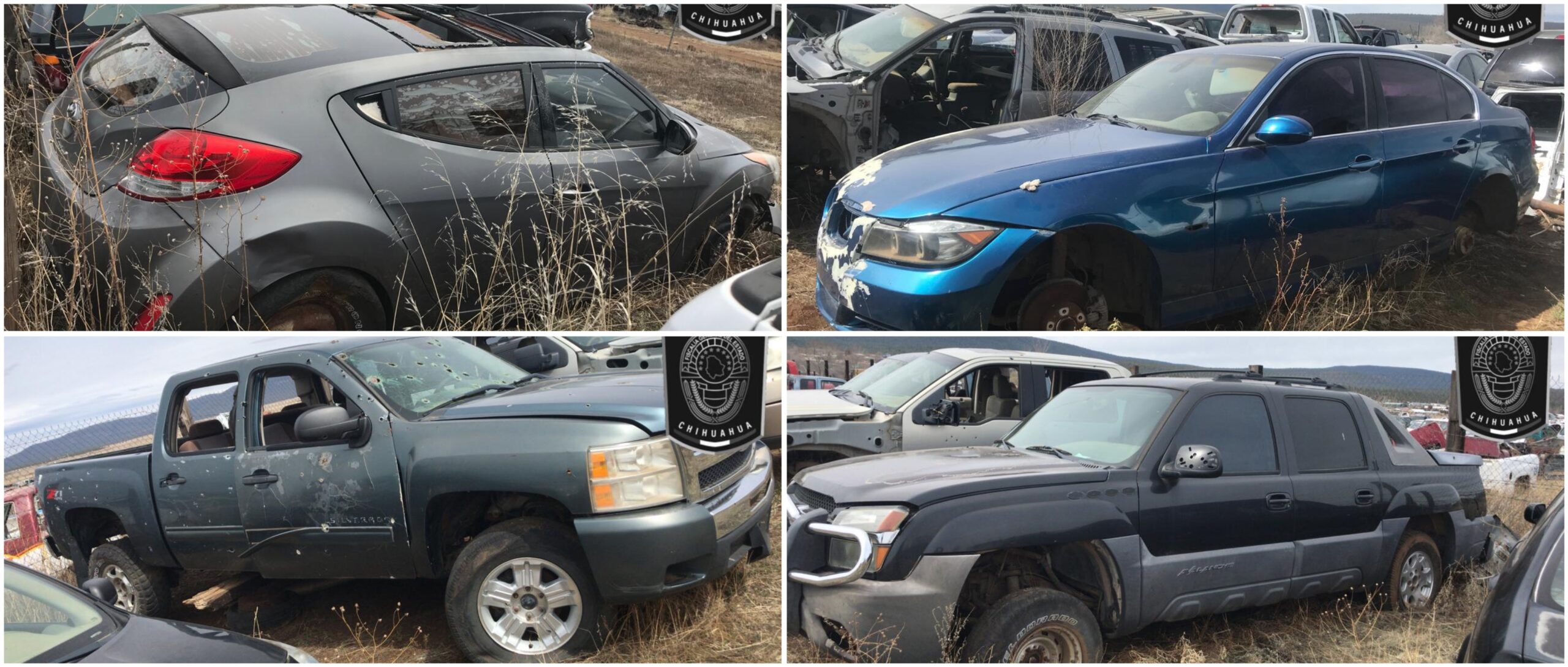 Polish_20240308_171040592