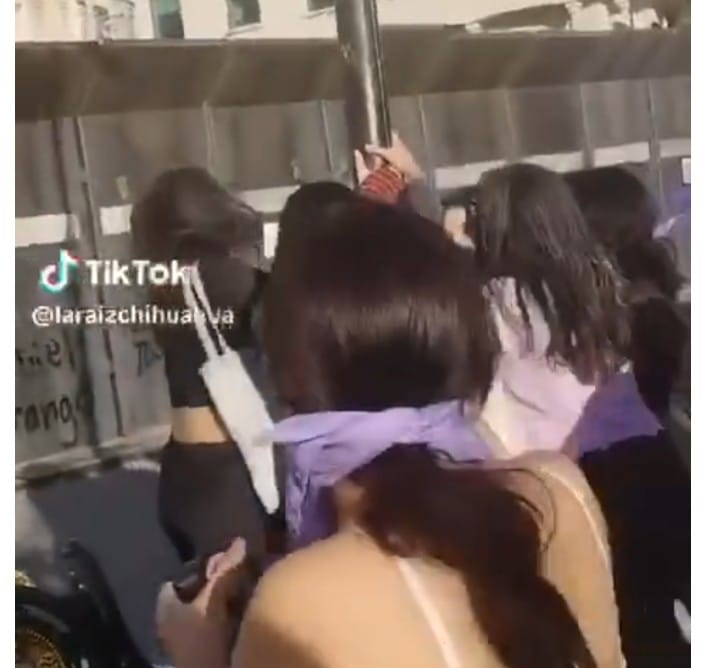 WhatsApp Image 2024-03-09 at 12.19.55 PM