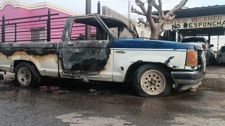 WhatsApp Image 2024-03-16 at 8.06.22 AM