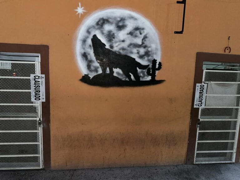 La raíz de Chihuahua