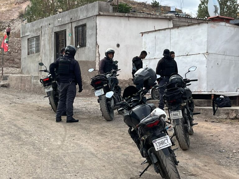 WhatsApp Image 2024-03-20 at 10.05.07 AM